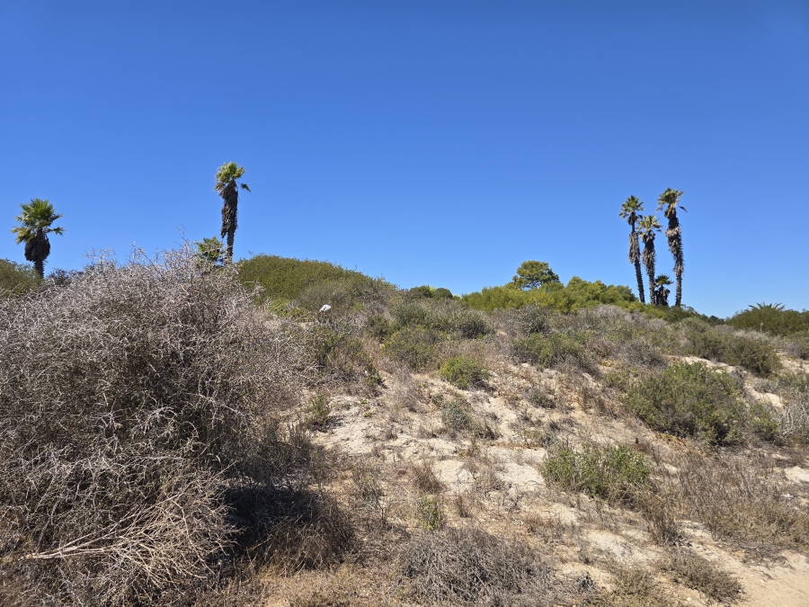 0 Bedroom Property for Sale in Shelley Point Western Cape